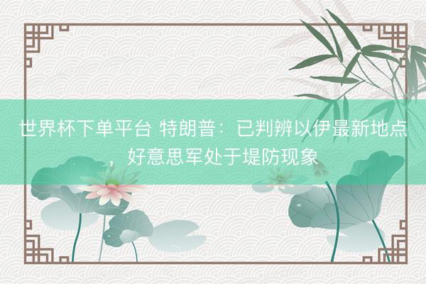 世界杯下单平台 特朗普：已判辨以伊最新地点，好意思军处于堤防现象