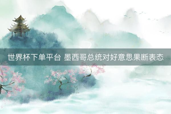 世界杯下单平台 墨西哥总统对好意思果断表态
