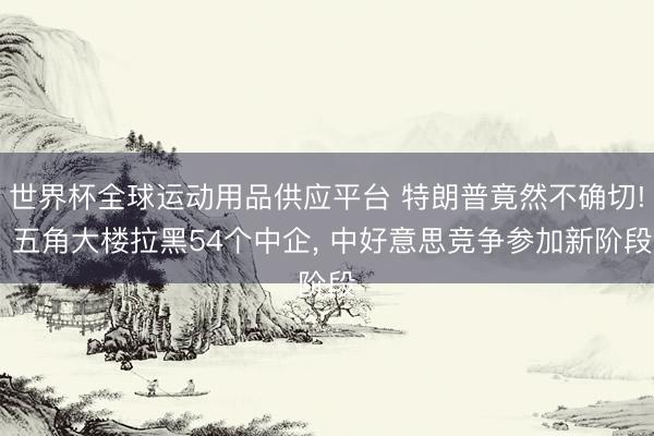 世界杯全球运动用品供应平台 特朗普竟然不确切! 五角大楼拉黑54个中企， 中好意思竞争参加新阶段