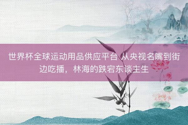 世界杯全球运动用品供应平台 从央视名嘴到街边吃播，林海的跌宕东谈主生