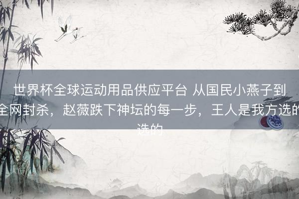 世界杯全球运动用品供应平台 从国民小燕子到全网封杀，赵薇跌下神坛的每一步，王人是我方选的