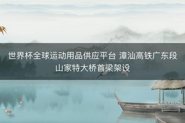 世界杯全球运动用品供应平台 漳汕高铁广东段山家特大桥首梁架设
