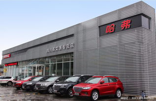 百年艾潇，以梦为马 百墩实业加盟再添一员悍将