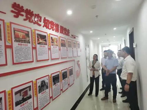 弘扬渡河精神，打造魅力孙口——台前县孙口镇开展喜迎建党百年主题党日活动